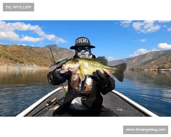 路亚赛事视频直播(路亚钓鱼比赛视频)